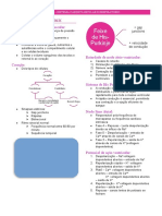 Sistema Cardiovascular - Fisiologia