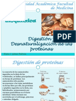 Digestion de Proteinas