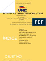 Reanimación Cardiocerebropulmonoar Básica y Avanzada