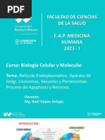 SEMANA 9 - Retículo Endoplasmatico. Aparato de Golgi. Lisosomas, Vacuolas y Peroxisomas. Proceso de Apoptosis y Necrosis