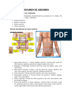 Resumen de Abdomen