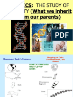 Mendelian Genetics