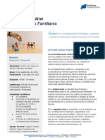 Programa Constelaciones Familiares