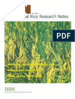 International Rice Research Notes Vol.24 No.1