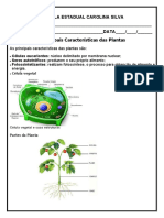 Atividades Ciencias 