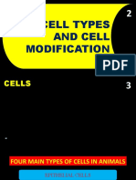 Cell Types and Cell Modification