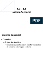 U4S3 e U4S4 - Sistema Sensorial