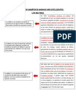 Un Vistazo A Los Mamíferos Marinos Más Inteligentes