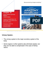 Urinary System