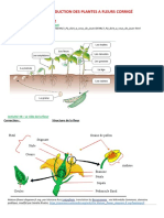 Chapitre 2 Reproduction Plantes A Fleurs Corrige 2023