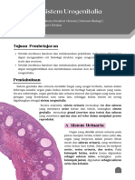 Histologi Urogenital (Revisi)