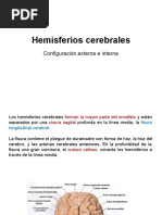 Hemisferioscerebrales 170803190434