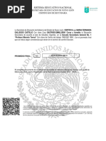 Certificado Secundaria Estudios 23432435