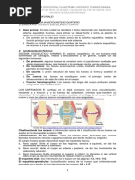 Guía Sistema Esquelético Humano