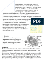 T5.3 Agentesinfecciosos-Bacterias y Hongos