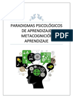 Paradigmas Psicológicos de Aprendizaje