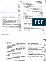 Icse/Cbse Class 10 Photosynthesis