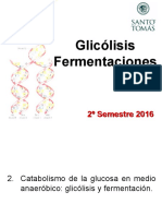 08-Semana Clase SesiÃ N 17 - 18 Glicolisis-Fermentaciones 2s2022