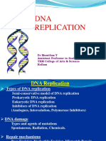 Dna Replication