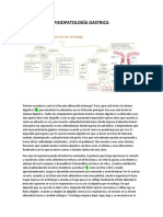 Fisiopatología Gastrica