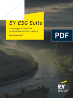 Ey Esg Suite