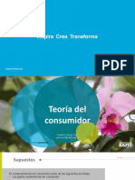 Teoría Del Consumidor