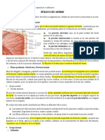 Tema 4. Miembros Superiores e Inferiores