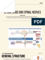 Spinal Cord and Spinal Nerves