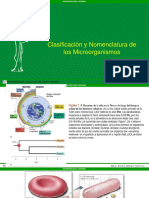 2 Clasificación y Nomenclatura de Los Microorganismos