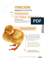 Nutrición Del Pollo Durante La Primera y La Última Semana