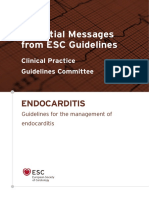 Essential Messages - 2023 Endocarditis