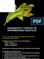 Fitopatologia 2