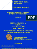 Conf D Membrana Plasmatica, Transporte y Biopotenciales