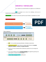 Guía 1 Parcial de Fisiología