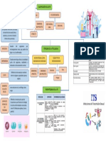 Microbiología de Las Infecciones de Transmisión Sexual (Its)