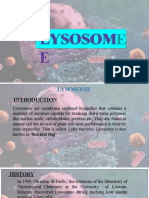 Lysosome