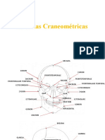 Medidas Craneométricas 