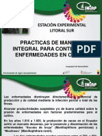 Practicas de Manejo Integral para Control de Enfermedades en Cacao