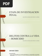 Etapa de Investigacion Penal