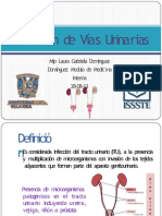 Infección de Vías Urinarias: Mip Laura Gabriela Domínguez Domínguez Modulo de Medicina Interna 28-08-13