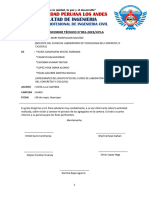 Informe Técnico N1