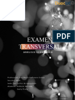 Examen Transversal ANALISIS Economico