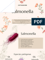 Salmonella