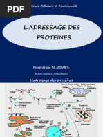 Ladressage Des Protéines - PDF Dans RER