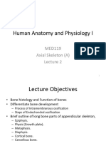 Week 2 Axial Skeleton (A) Lecture 2