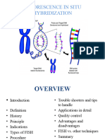 Fluroscence in Situ Hybridisation