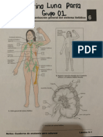 Fisiología 01 Ana