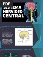 Sistema Central Nervioso