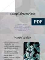 Campilobacteriosis