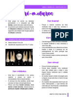 Anatomia Dental - Pré-Molares